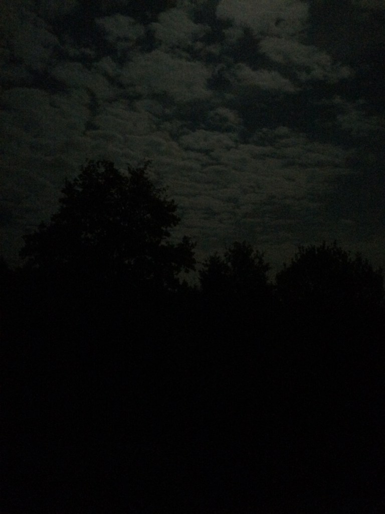 Ciel de pleine lune et silhouette d'arbres