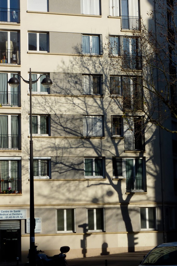 Paris ombre de l'arbre sur un immeuble