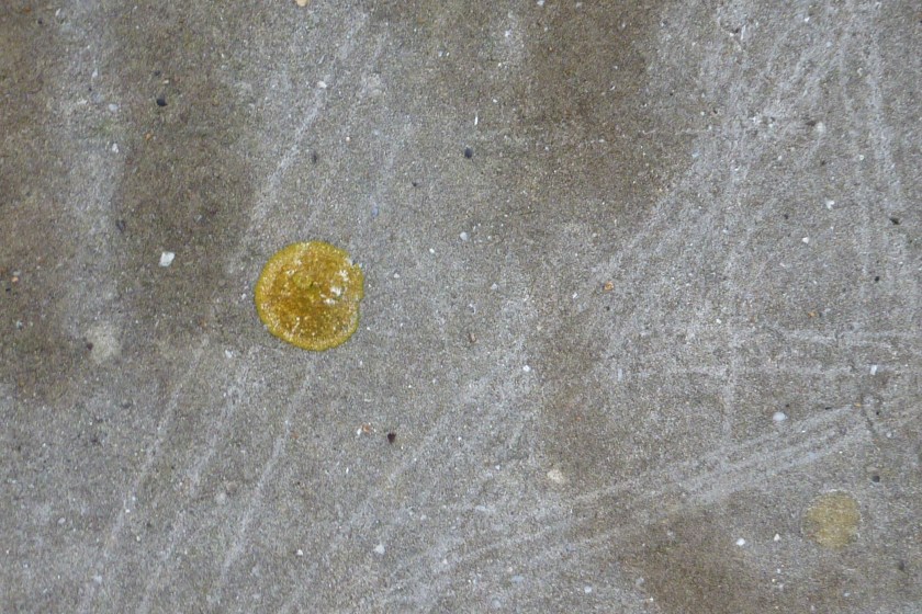 Japon sur mur de mer- empire du soleil