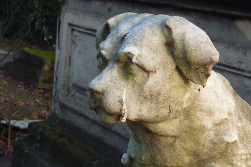 Larme au cimetière pour chien