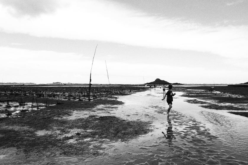 Marée basse en bretagne, noir et blanc