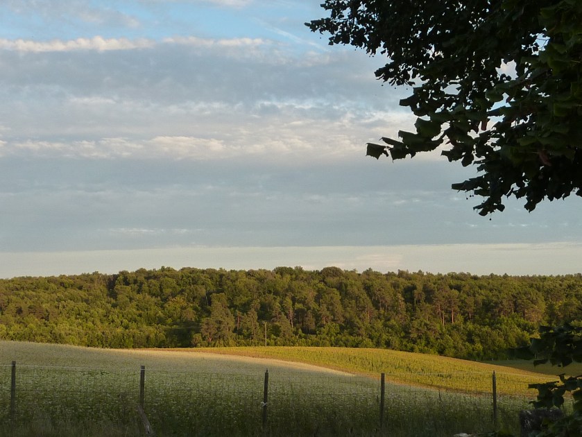 paysage de campagne française
