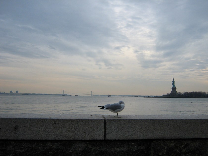 new-york, mouette et statue de la liberté